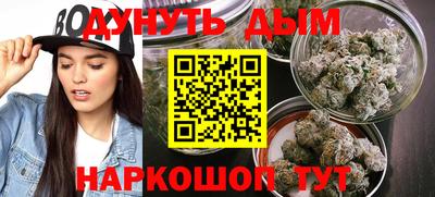 Альфа ПВП Аргун