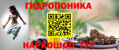 Альфа ПВП Аргун