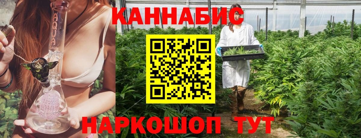 Бошки Шишки гибрид Берёзовский